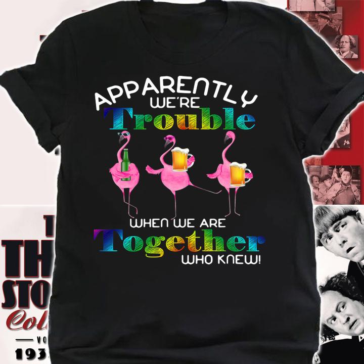 Apparently We're Trouble When We Are Together Flamingo Beer t-shirt shirt
